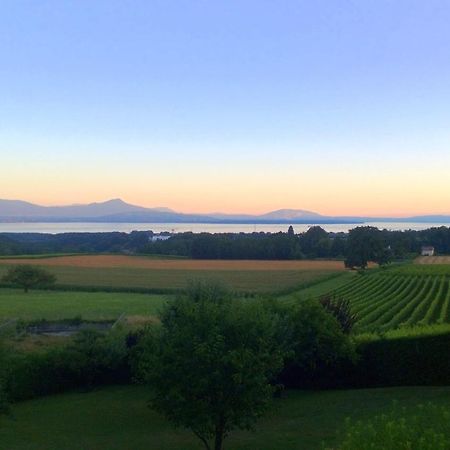 Le Chateau Lavigny المظهر الخارجي الصورة