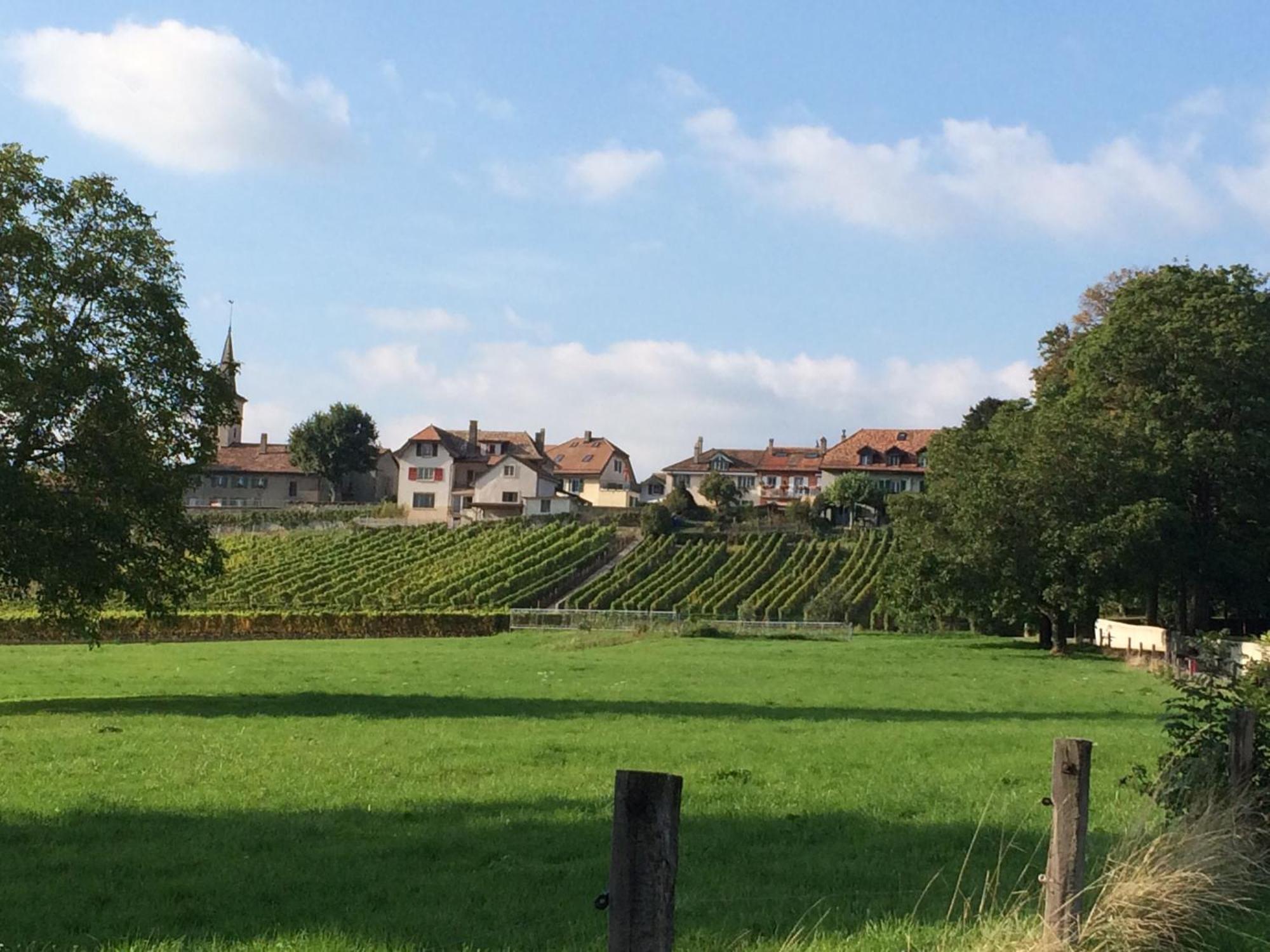 Le Chateau Lavigny المظهر الخارجي الصورة